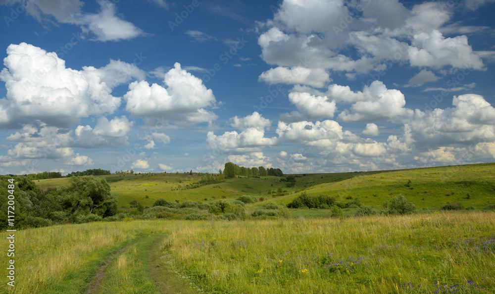 Obraz premium Summer landscape