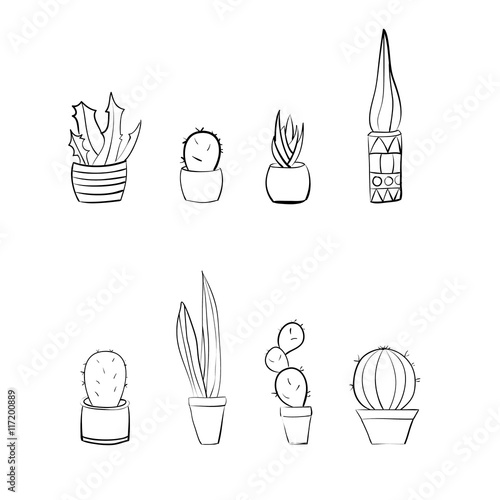 Hand drawn cactus black and white set