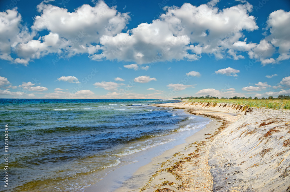 Sea waves washed clean beach made of shells. Landscape on a wild beach. The sea in the summer.