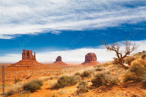 Fotografie elephant butte at monument valley - united states of america