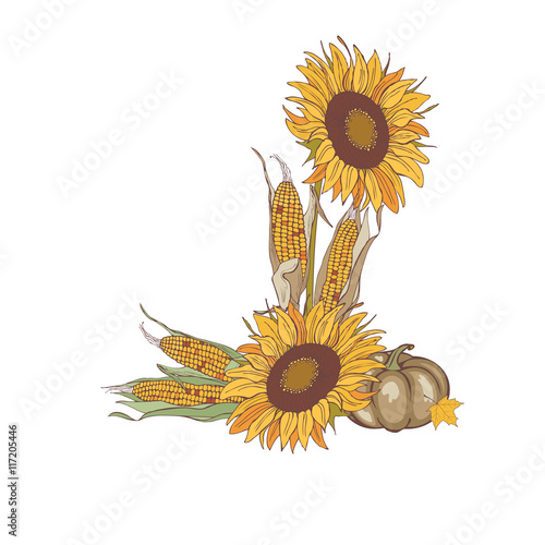 harvest corn, sunflower and pumpkin