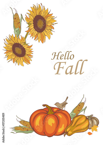 harvest corn, sunflower and pumpkin