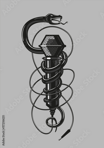 Snake with a microphone. Rock music poster