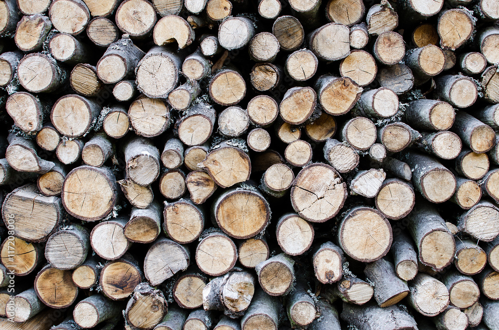 Background with logs Background with logs