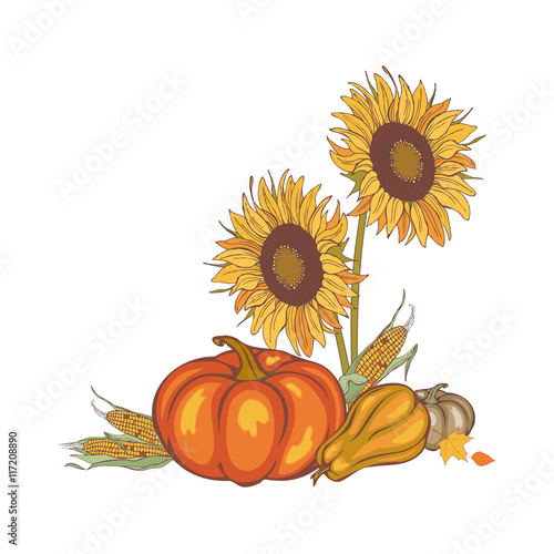 harvest corn, sunflower and pumpkin