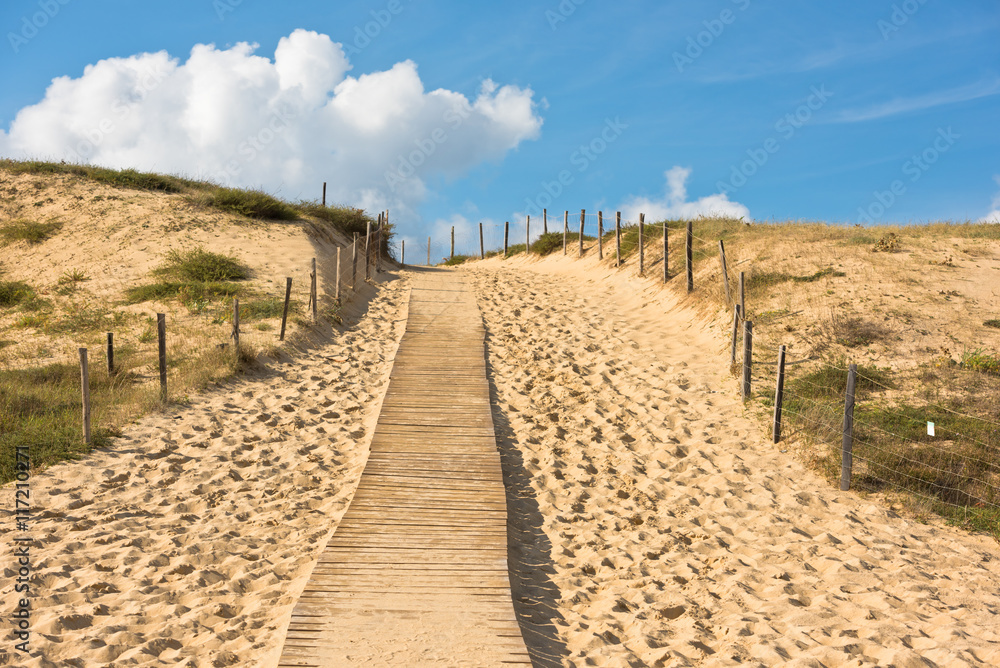 Wooden footpath through dunes at the ocean beach