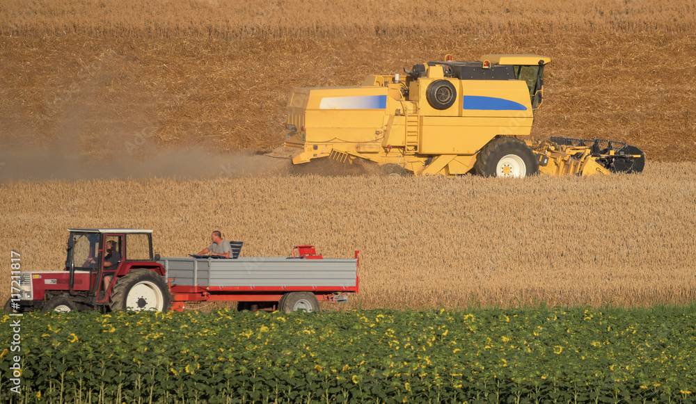 Fototapeta premium Tractor and harvester on field in the Alps