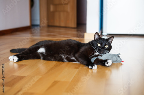 Cat playing with mouse-toy
