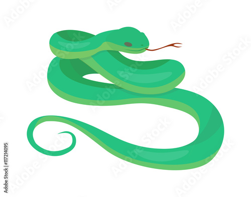 Python boa snake
