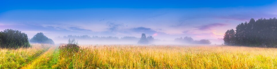 Leinwandbilder Honigfarbe Wild foggy meadow landscape  © milosz_g