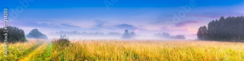 Wild foggy meadow landscape