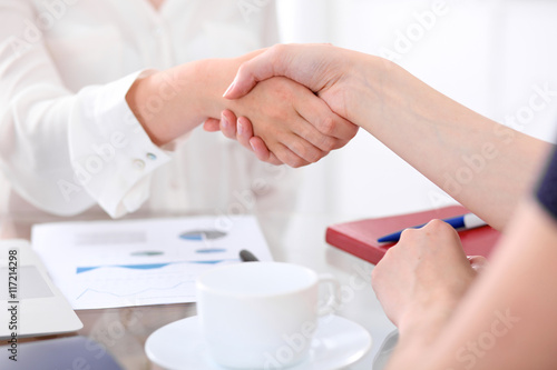 Business handshake. Two women are shaking hands after meeting or negotiation.
