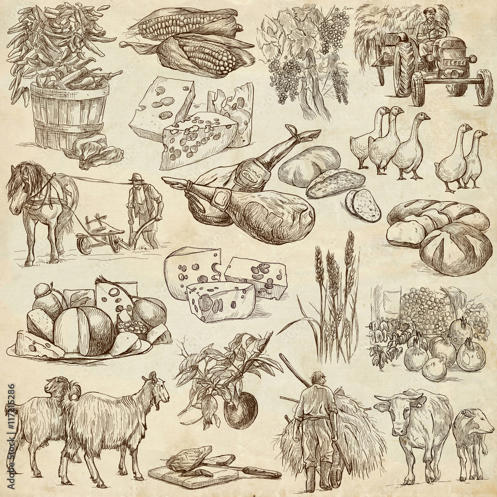 Cocoa Farming: Over 210 Royalty-Free Licensable Stock Illustrations &  Drawings | Shutterstock