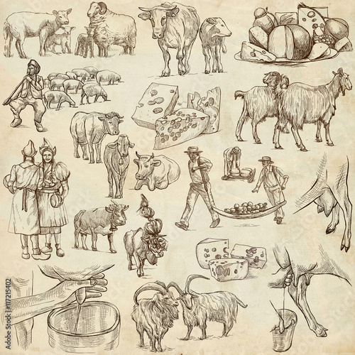 Cheese.Agriculture.Life of a farmer.Agricultural set.Collection of hand drawing illustrations.Pack of full sized hand drawn illustrations.Set of freehand sketches.Line art technique.Drawing on paper.