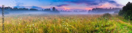 Fotografie, Obraz Wild foggy meadow landscape