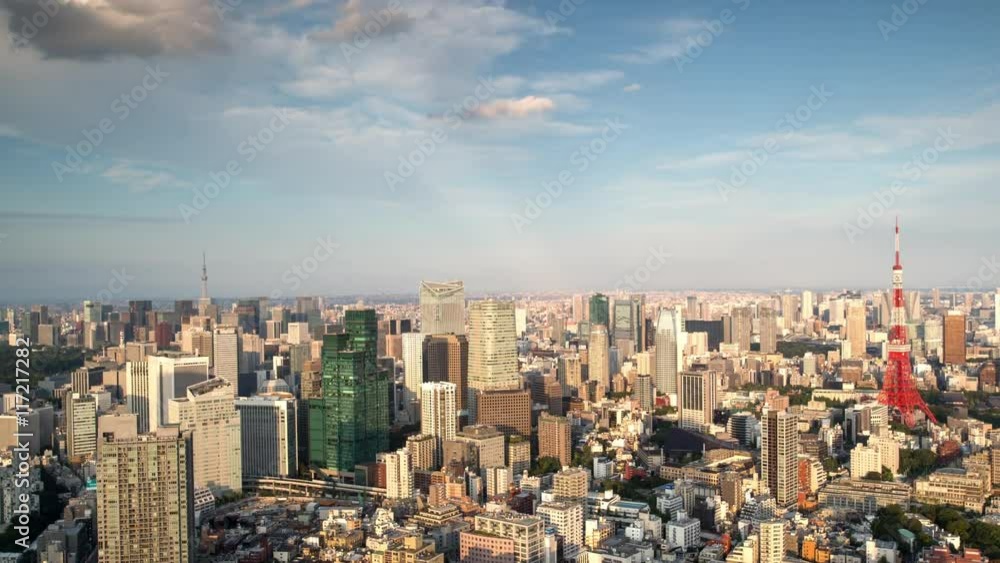 tokyo skyline from a high up point tokyo skyline from a high up point