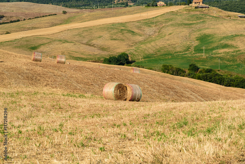 Bales of hay in the middle of a field in Val d'Orcia, Tuscany