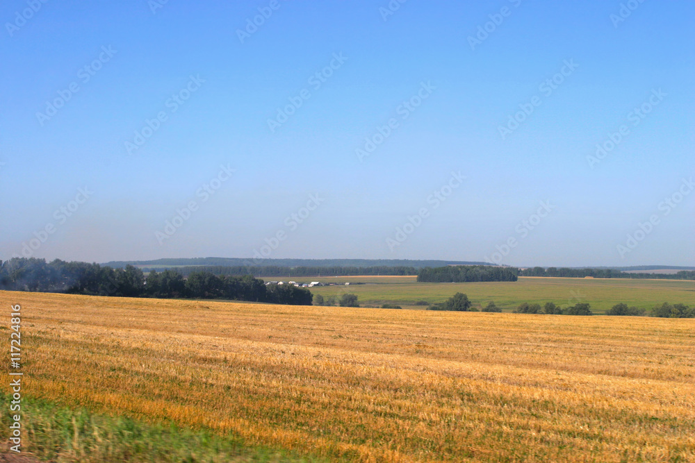 Meadowland field