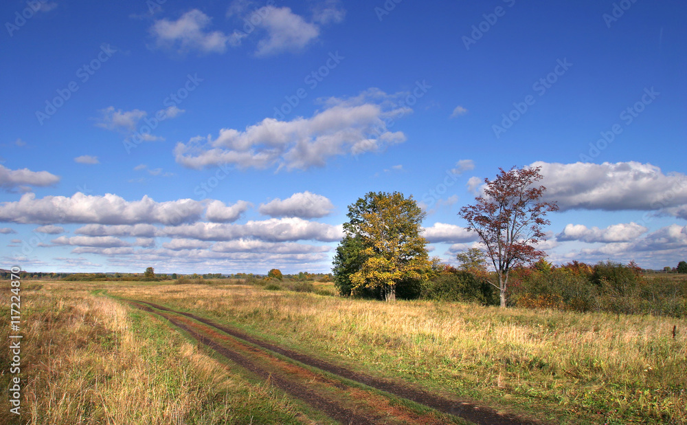 Obraz premium Sunny September