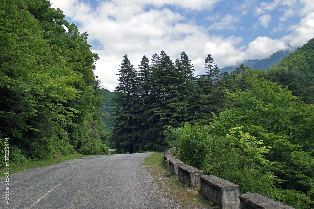 Fototapeta premium mountain road