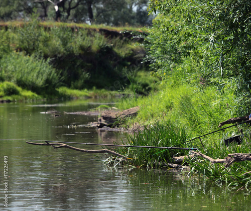 The river in summer photo