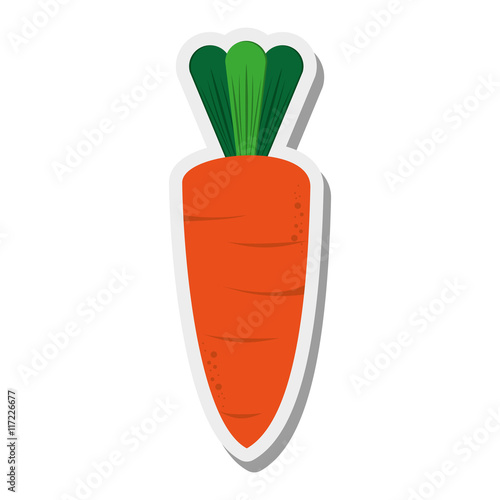 flat design whole carrot icon vector illustration