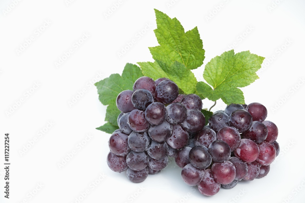 Obraz premium 大粒のぶどう