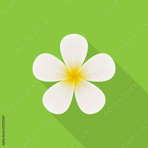 Plumeria (frangipani) flower icon - Vector
