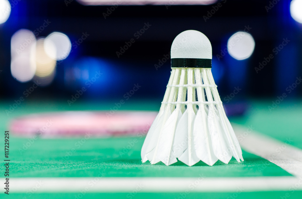 shuttlecocks and badminton racket. shuttlecocks and badminton racket.