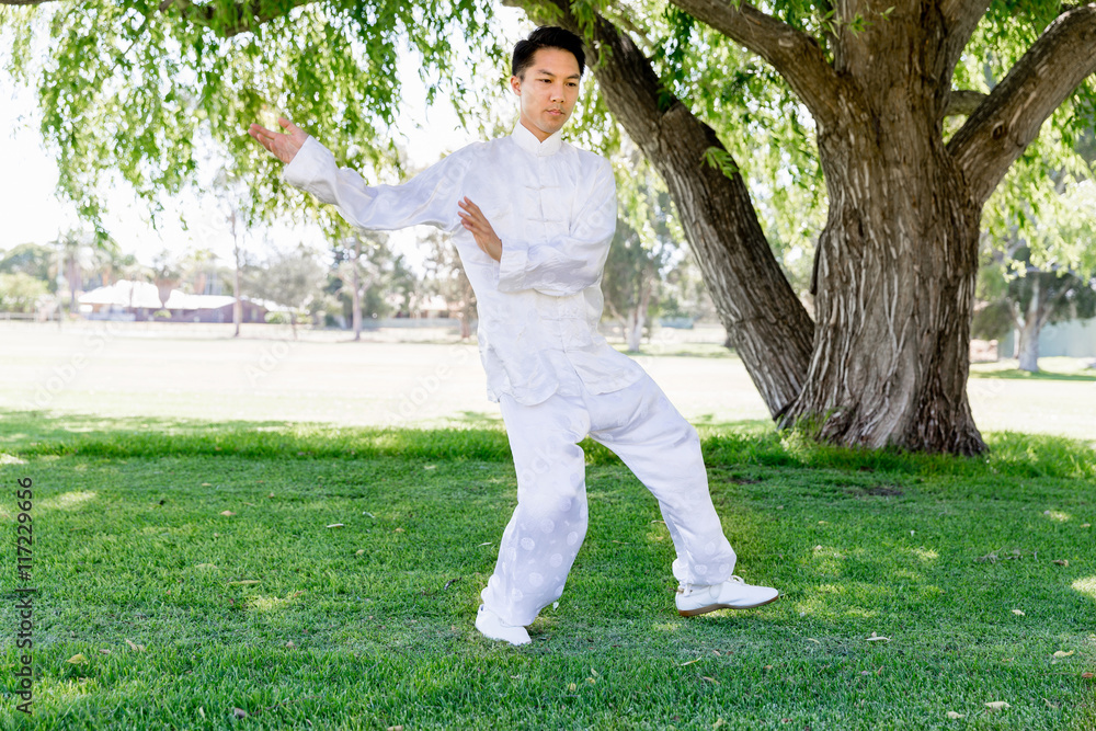 Handsome man practicing thai chi