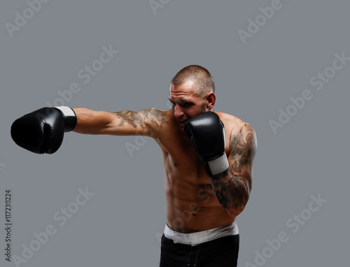 Tattooed fighter isolated on a grey background. © Fxquadro