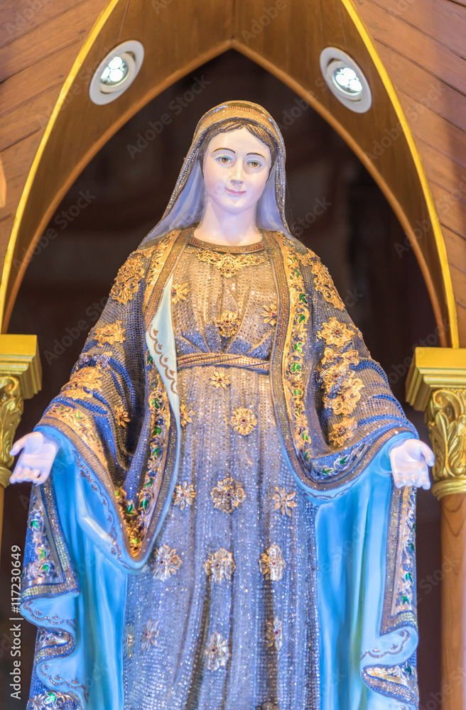 Obraz premium Mary the Blessed Virgin background