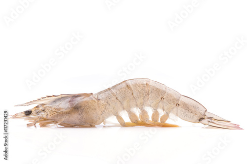 Fresh shrimp isolated on white background