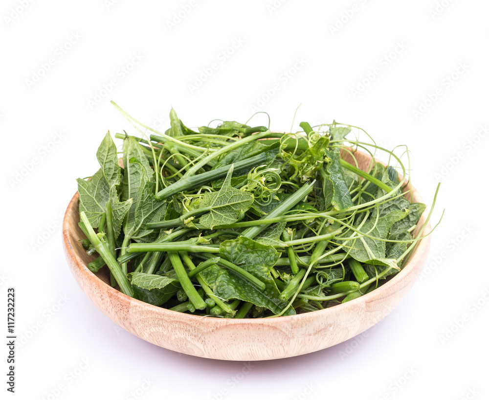 Fresh green chayote leaf isolated on white background Fresh green chayote leaf isolated on white background