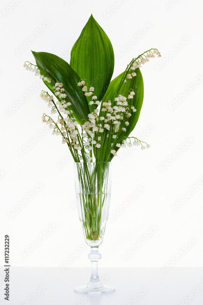 Obraz premium Lily of the valley and decorative onions