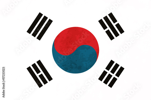 True proportions South Korea flag with texture