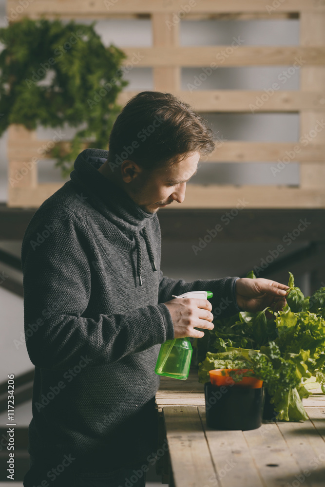 Handsome grower carefully irrigating plants indoor