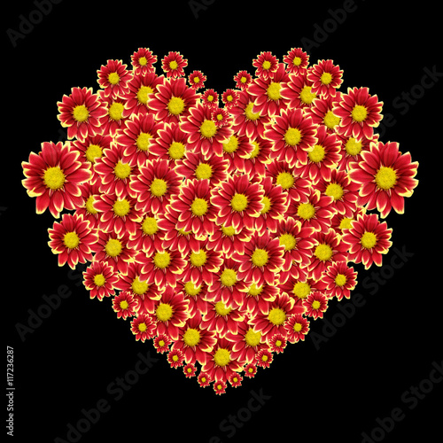 Beautiful heart of red flower isolated on black background. Saved with clipping path