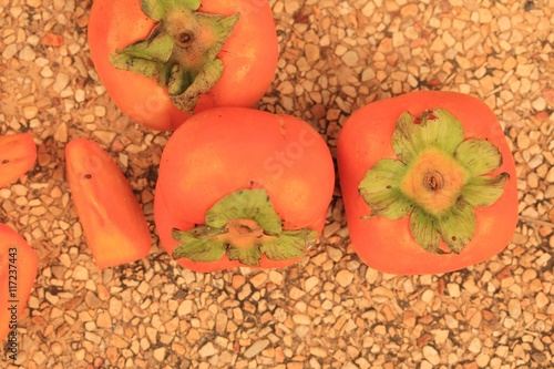 Persimmon fruit