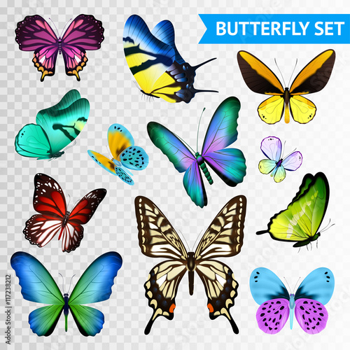 Sticker Butterfly Transparent Set