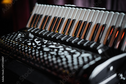 Obraz na płótnie Details of an old accordion