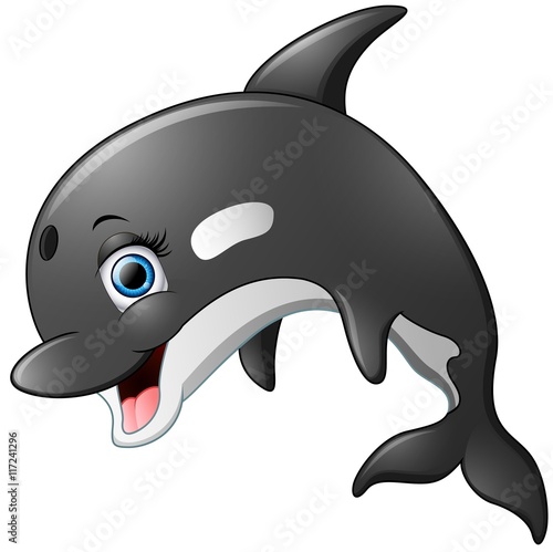 Happy killer whale cartoon