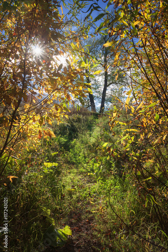 autumn day