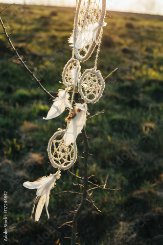 dreamcatcher hanging from a tree in a field at sunset © Vladimir Matskevich