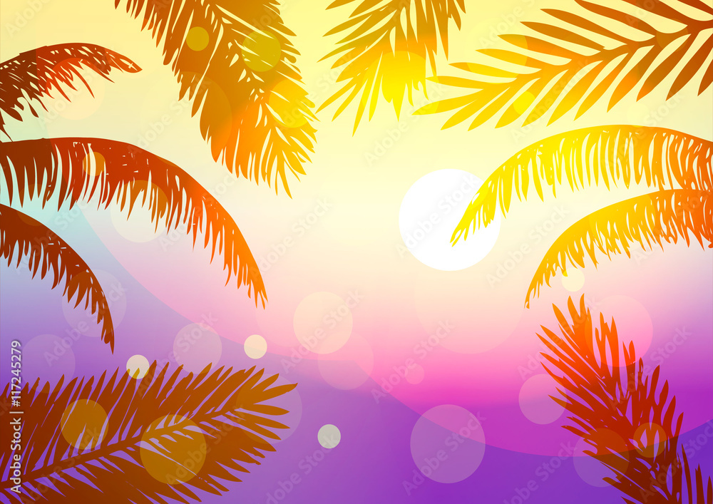 Vector illustration. Summer. The leaves of palm trees at sunset.
