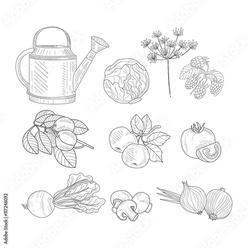 Farm Product Clipart Elements Hand Drawn Realistic Sketch