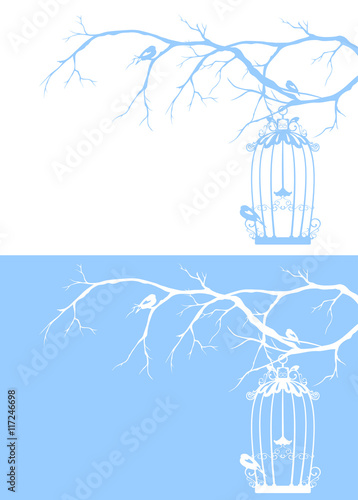 winter bird cage