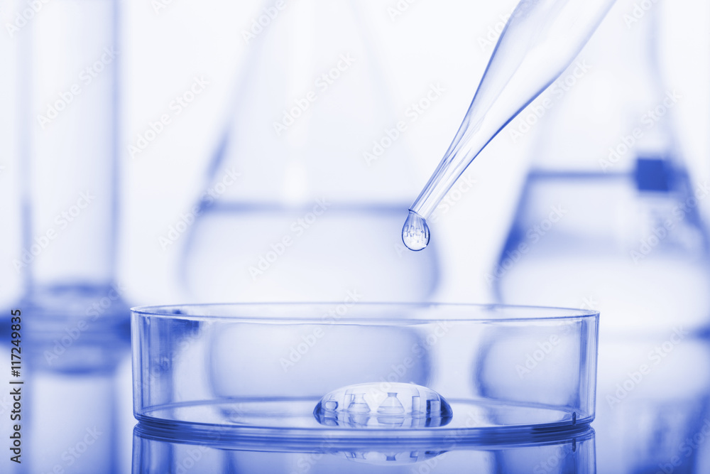 Petri dishes and pipette Petri dishes and pipette