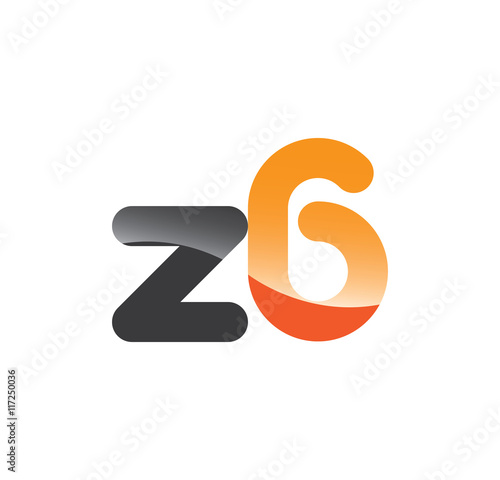 z6 initial grey and orange with shine