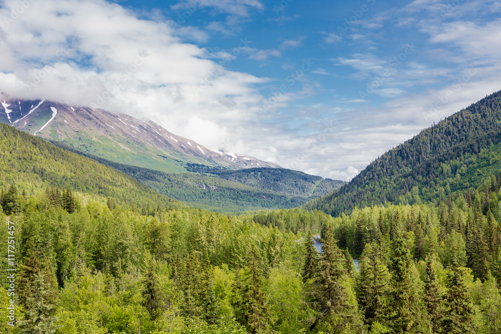 Evergreen Covered Mountains in Alaska
